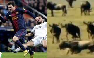 الاس: ريال مدريد يطالب بستة ملايين يورو للقناة الكتالونية الثالثة بسبب الفيديو…!