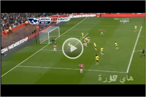 hihi2-22