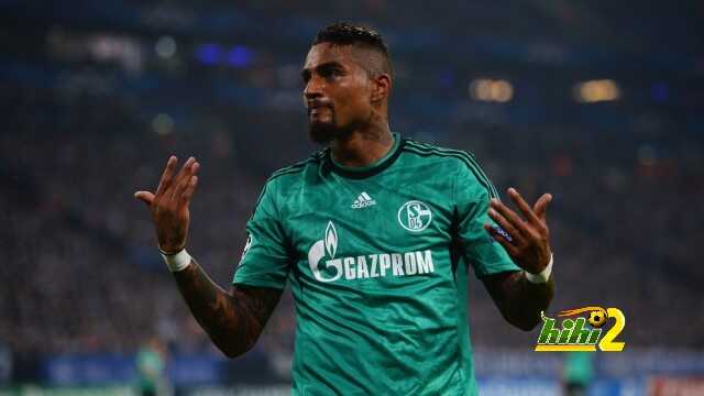 FC Schalke 04 v FC Steaua Bucuresti - UEFA Champions League