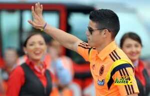FBL-WC-2014-COL-FANS