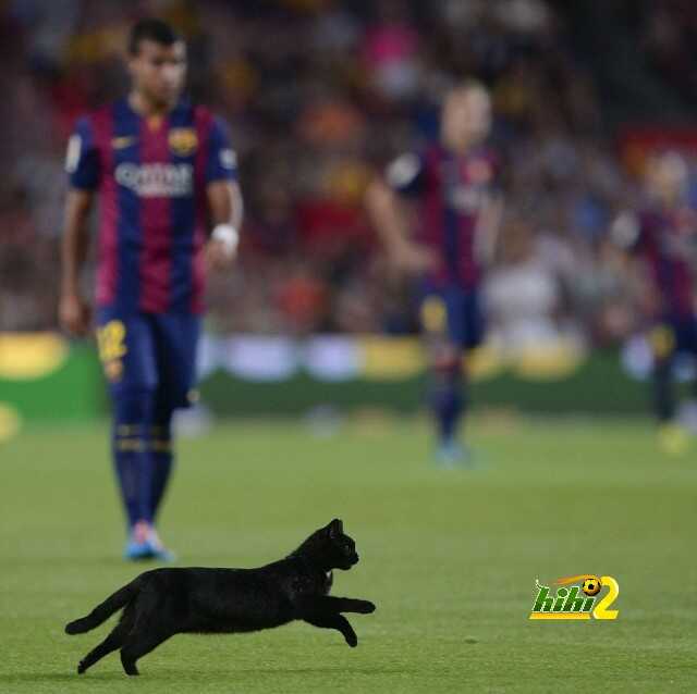 1408908373435_wps_3_A_black_cat_walks_on_the_