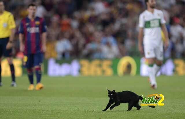 1408915379111_wps_1_A_black_cat_walks_on_the_