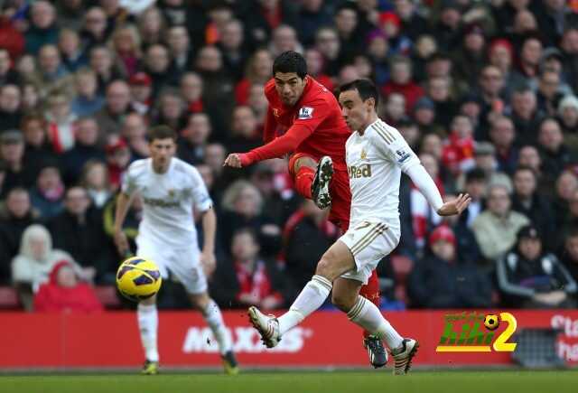 Swansea City's Leon Britton (right) attempts to block a shot by Liverpool's Luis Suarez during the Barclays Premier League match at Anfield, Liverpool. PRESS ASSOCIATION Photo. Picture date: Sunday February 17, 2013. See PA story SOCCER Liverpool. Photo credit should read: David Davies/PA Wire. RESTRICTIONS: Editorial use only. Maximum 45 images during a match. No video emulation or promotion as 'live'. No use in games, competitions, merchandise, betting or single club/player services. No use with unofficial audio, video, data, fixtures or club/league logos.