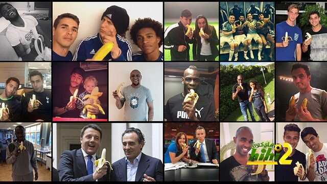 platans_final_1000x410.v1398781479