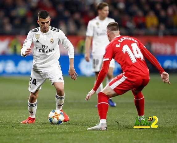 سيبايوس : سنقاتل من أجل الكأس