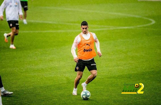 فيران توريس على رادار دورتموند
