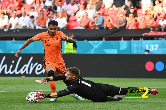 باكو بويو يسخر من نجم هولندا السابق بعد فوز التشيك