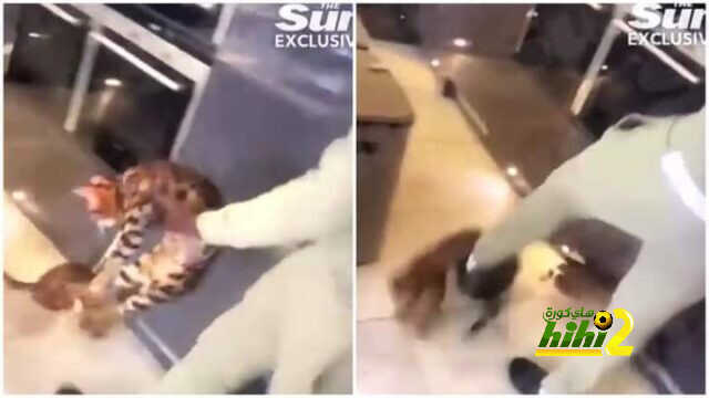 لاعب ويست هام يقوم بتعذيب ” قط ” والنادي يعلن العقوبة