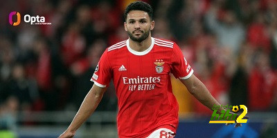 نجم بنفيكا وصيف هالاند في رقم مميز بدوري أبطال أوروبا