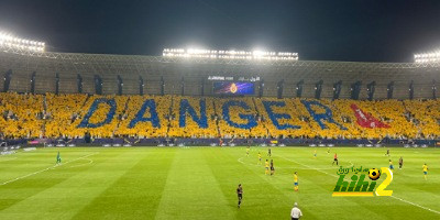 فيديو: لوحة فنية في مدرجات النصر