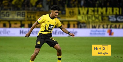 البايرن يحدد بديل صفقة ثيو هيرنانديز