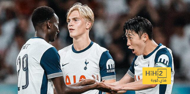 توتنهام يفوز على فيسل كوبي وديًا