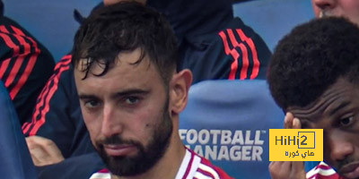 عين على فيرنانديز في مباراة برايتون