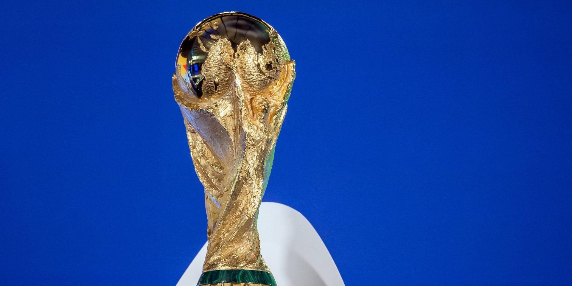 العرب يضمنون 7 مقاعد في كأس العالم لأول مرة