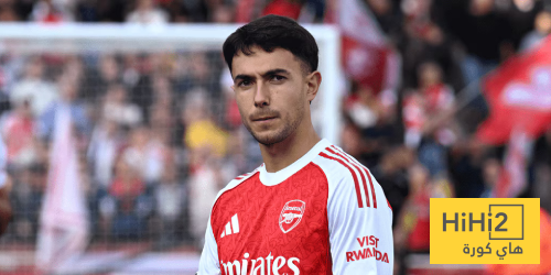 أرقام مارتن زوبيميندي ضد سندرلاند