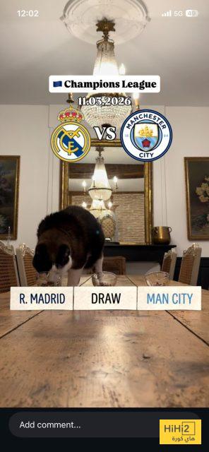 صورة : القط ” مشمش ” اختار الفائز بين ريال مدريد ومانشستر هذا المساء 2 صورة : القط ” مشمش ” اختار الفائز بين ريال مدريد ومانشستر هذا المساء 1