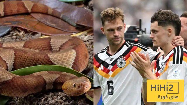 قبل مواجهة ساحل العاج.. أفعى سامة تقتحم معسكر منتخب ألمانيا في كأس العالم