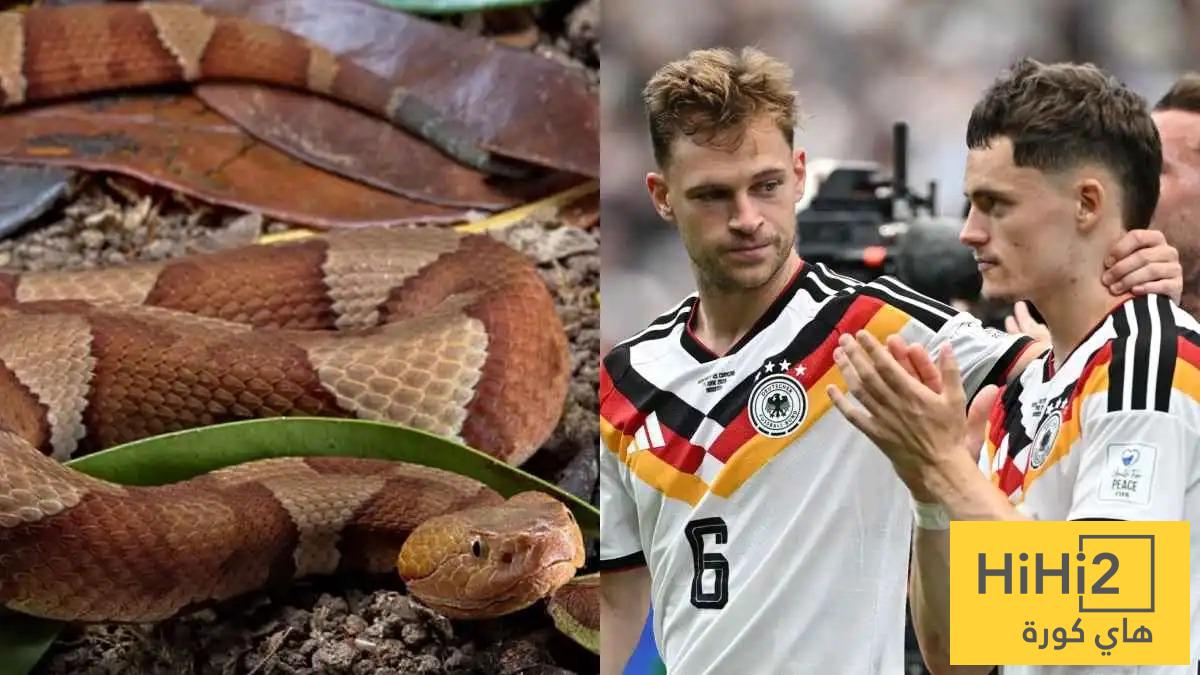 قبل مواجهة ساحل العاج.. أفعى سامة تقتحم معسكر منتخب ألمانيا في كأس العالم